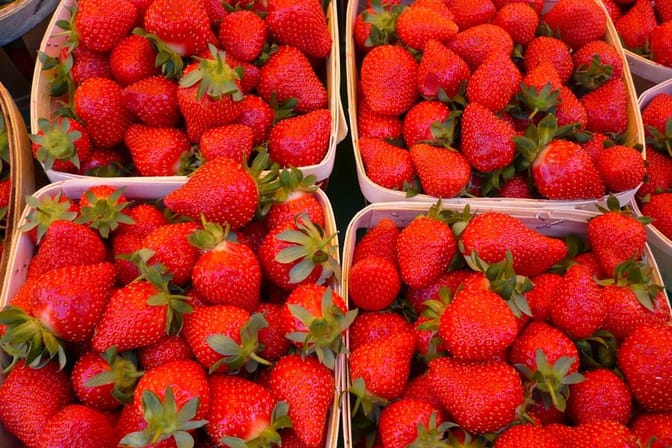 Vineyards and Villages of Provence - 8 Days food