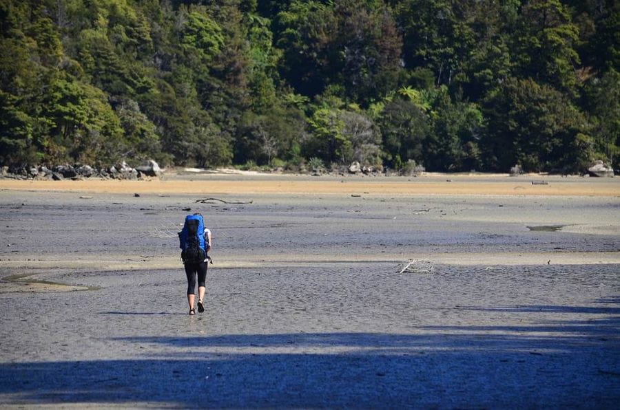 abel tasman walk new zealand