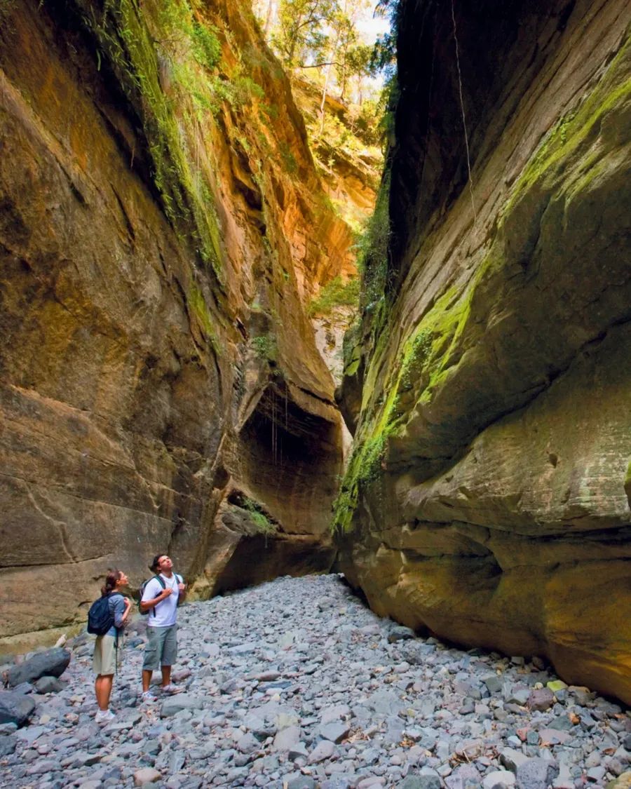 Carnarvon Gorge day 3