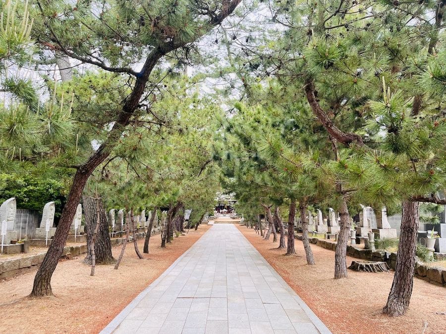 D5 WALK T80-T81-T82 - Temples 2 Shikoku