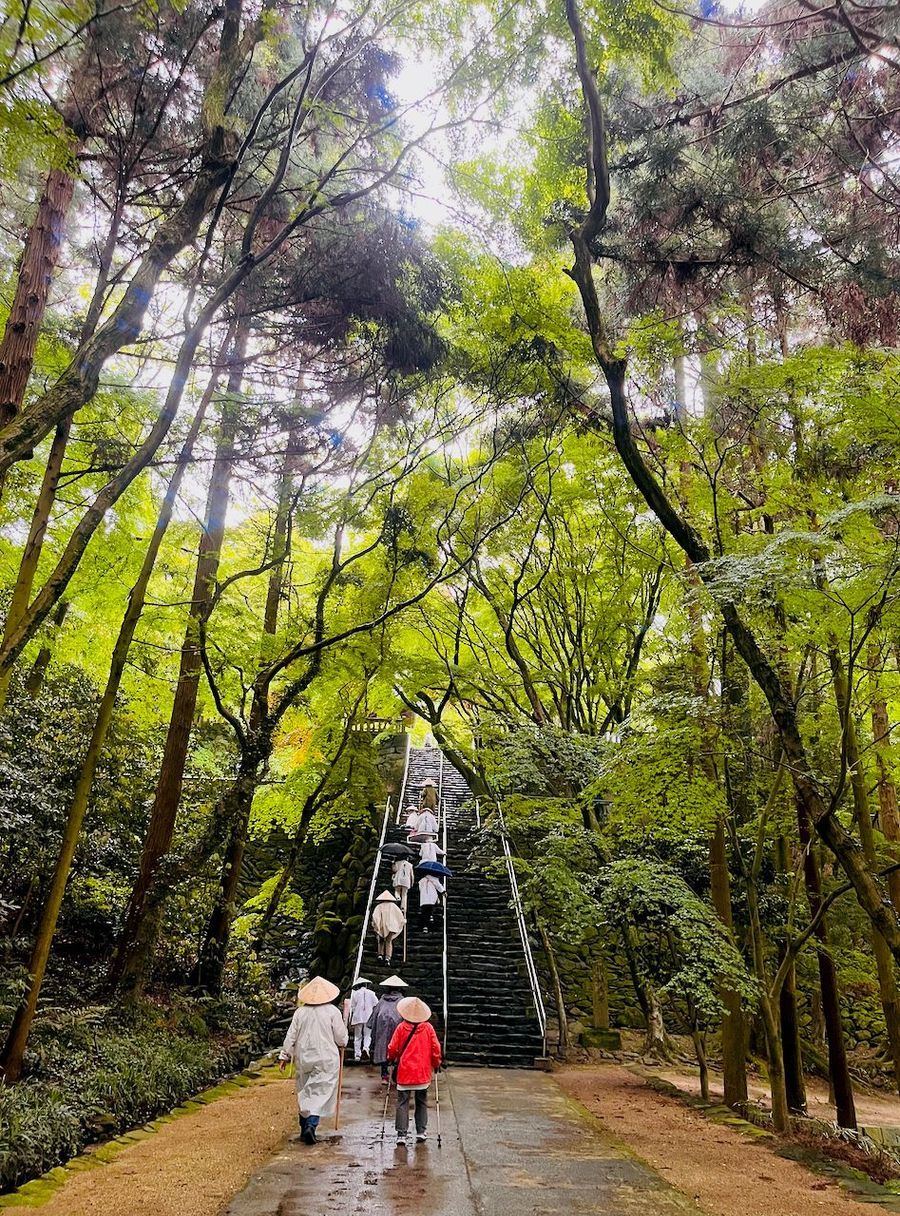 D5 Shikoku WALK T80-T81-T82 - shrine