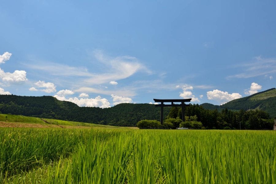 Hongu area gate in summer