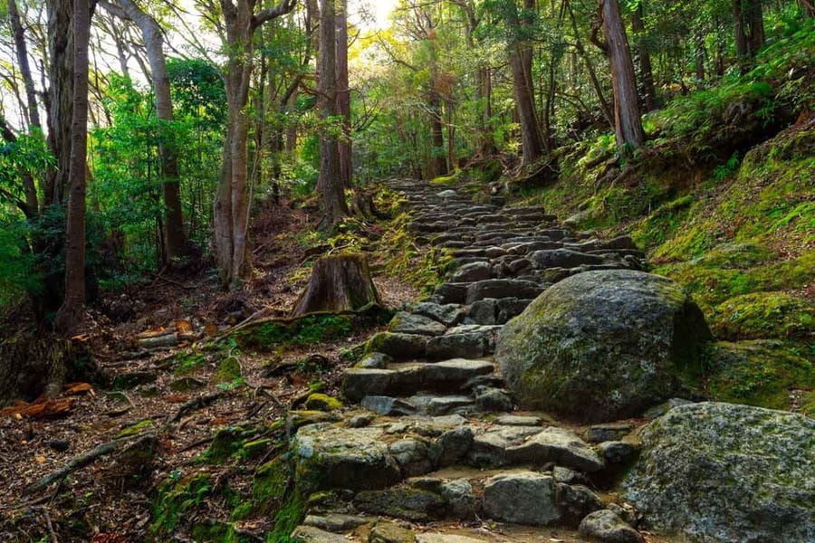 Mossy stone path kumano kodo