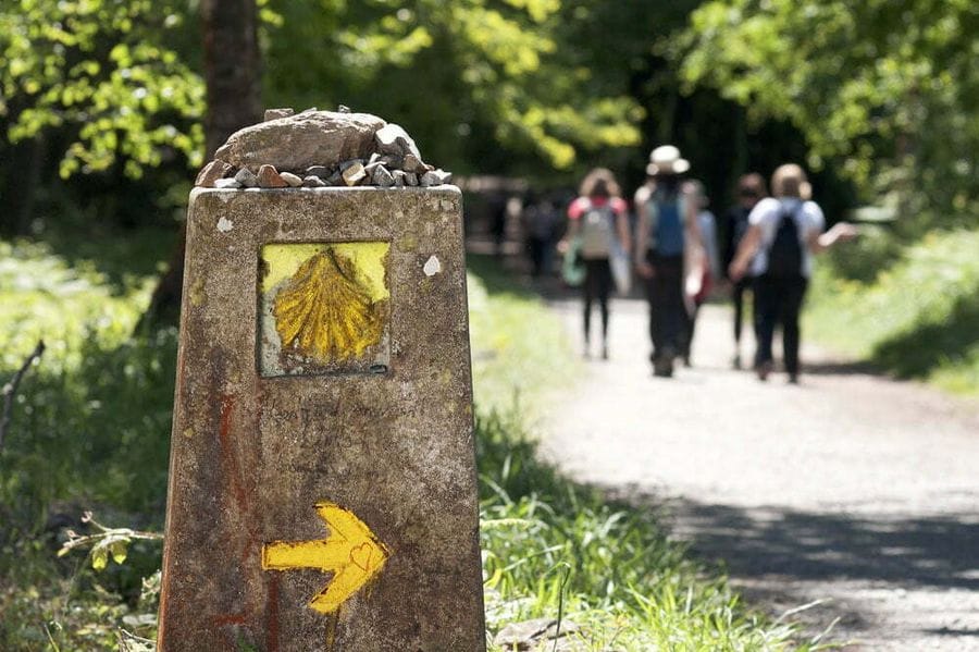 Camino Waymaker