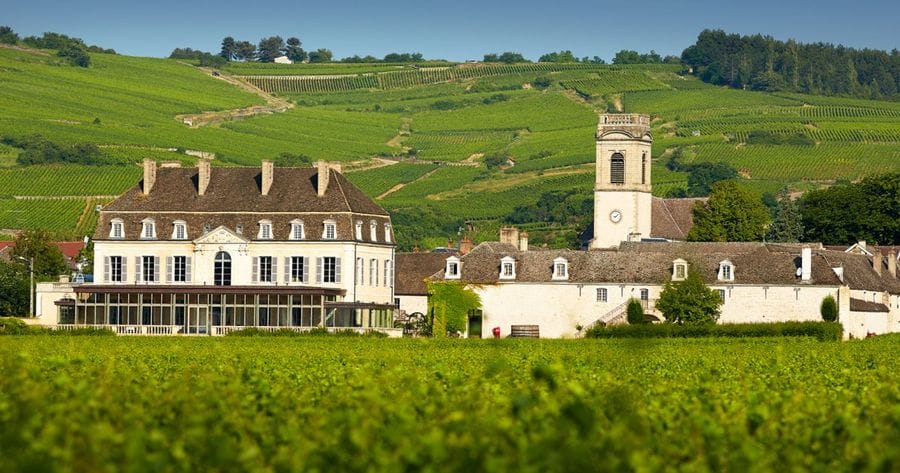 chateau-de-pommard - supplied by Walk Inn
