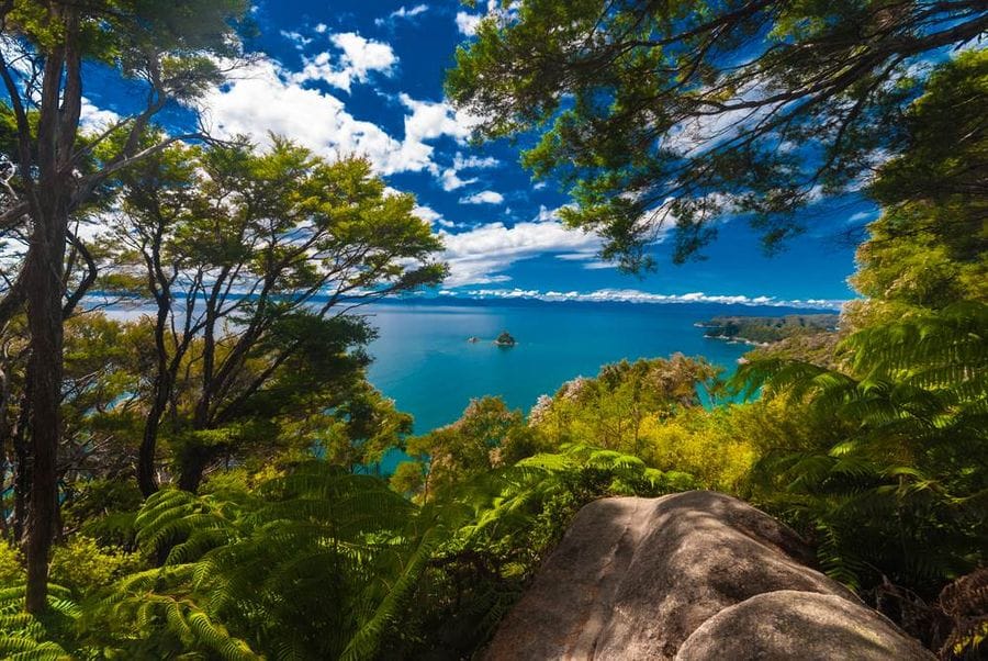 abel tasman great walk