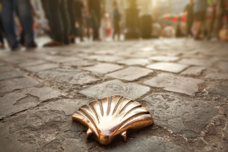 brass shell Camino