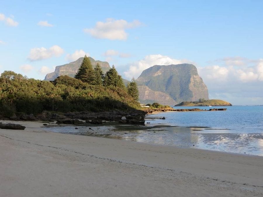 Lidgebird and Gower Lord Howe Island