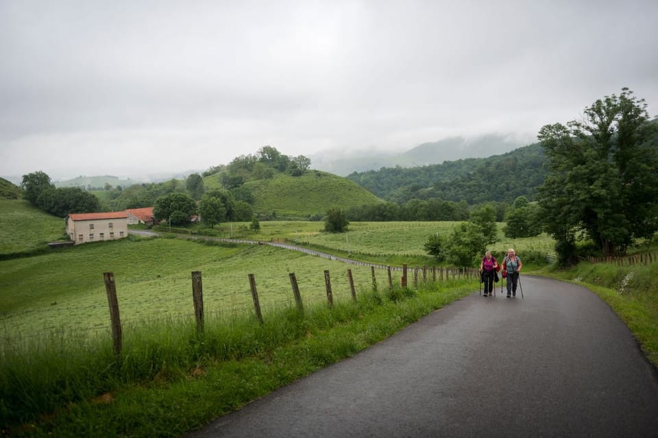 Camino Frances Highlights - 15 Days - Group Guided