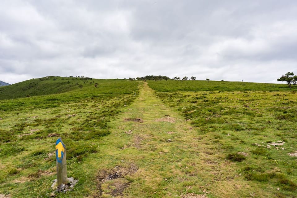 Camino Primitivo: Final Stage - Lugo to Santiago - 8 Days