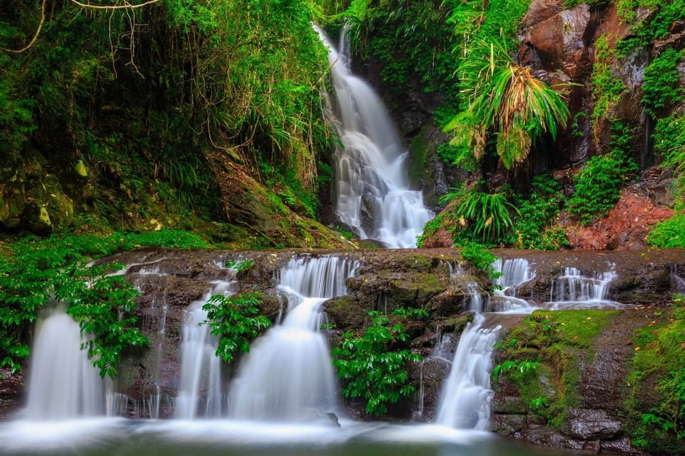 owerful waterfall cascading down a red and white volcanic rock face surrounded by lush subtropical rainforest, Gold Coast Hinterland walking holiday, Queensland, Australia