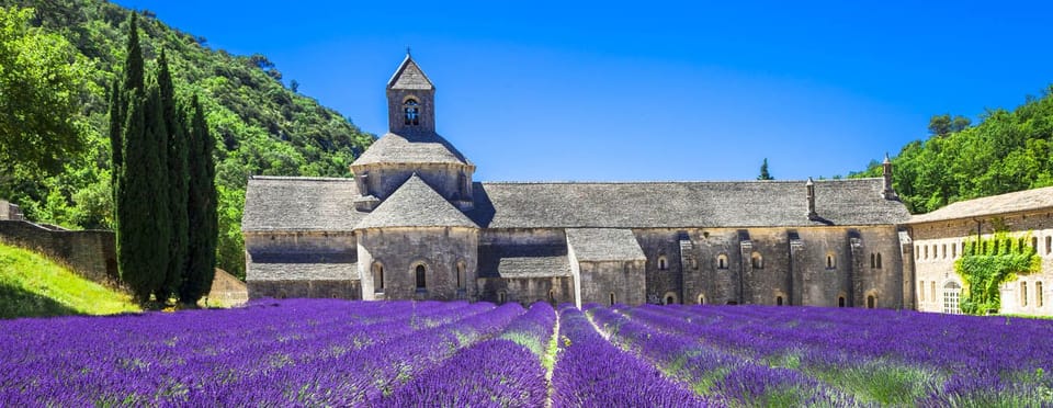 PROVENCE LAVENDER
