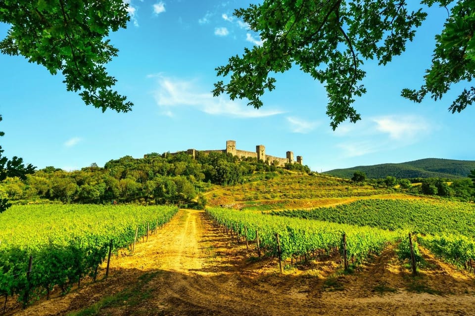 Dirt walking path through green Tuscan vineyards leading toward a hilltop medieval castle, Via Francigena walking holiday, Tuscany, Italy