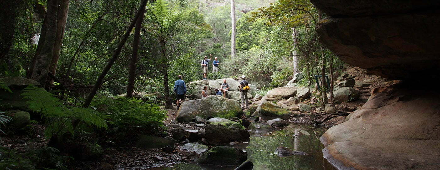 Carnarvon Gorge Blog