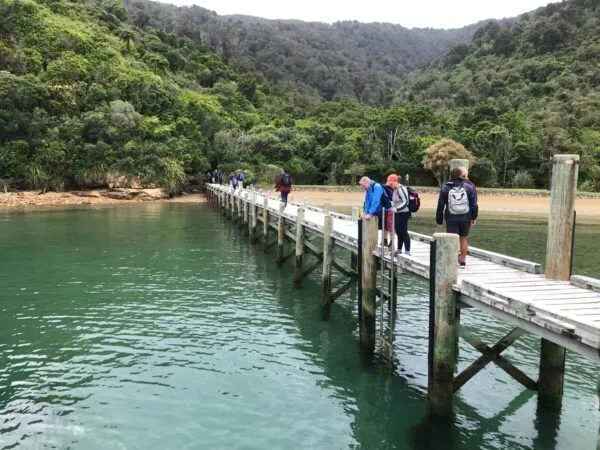 Group-Guided Walks