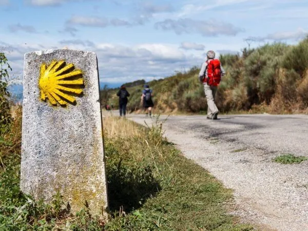 Group-Guided Walks