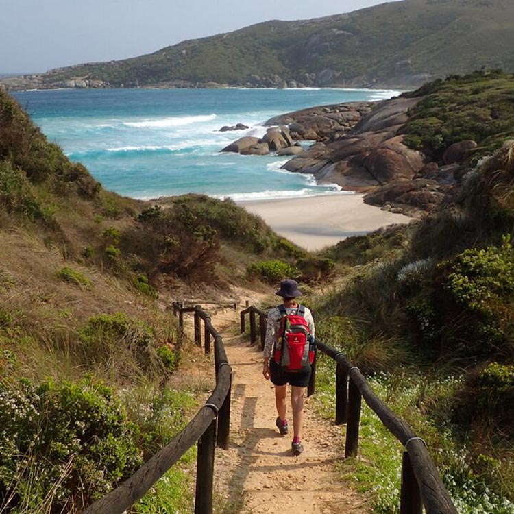 Bibbulmun Track - Group Guided Day Walks