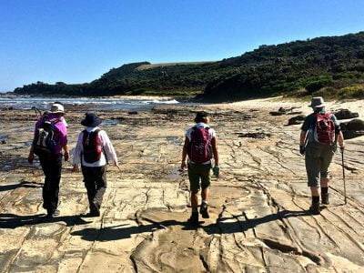 Great-Ocean-Walk-Group-Guided Marengo Hikers on rock shelf