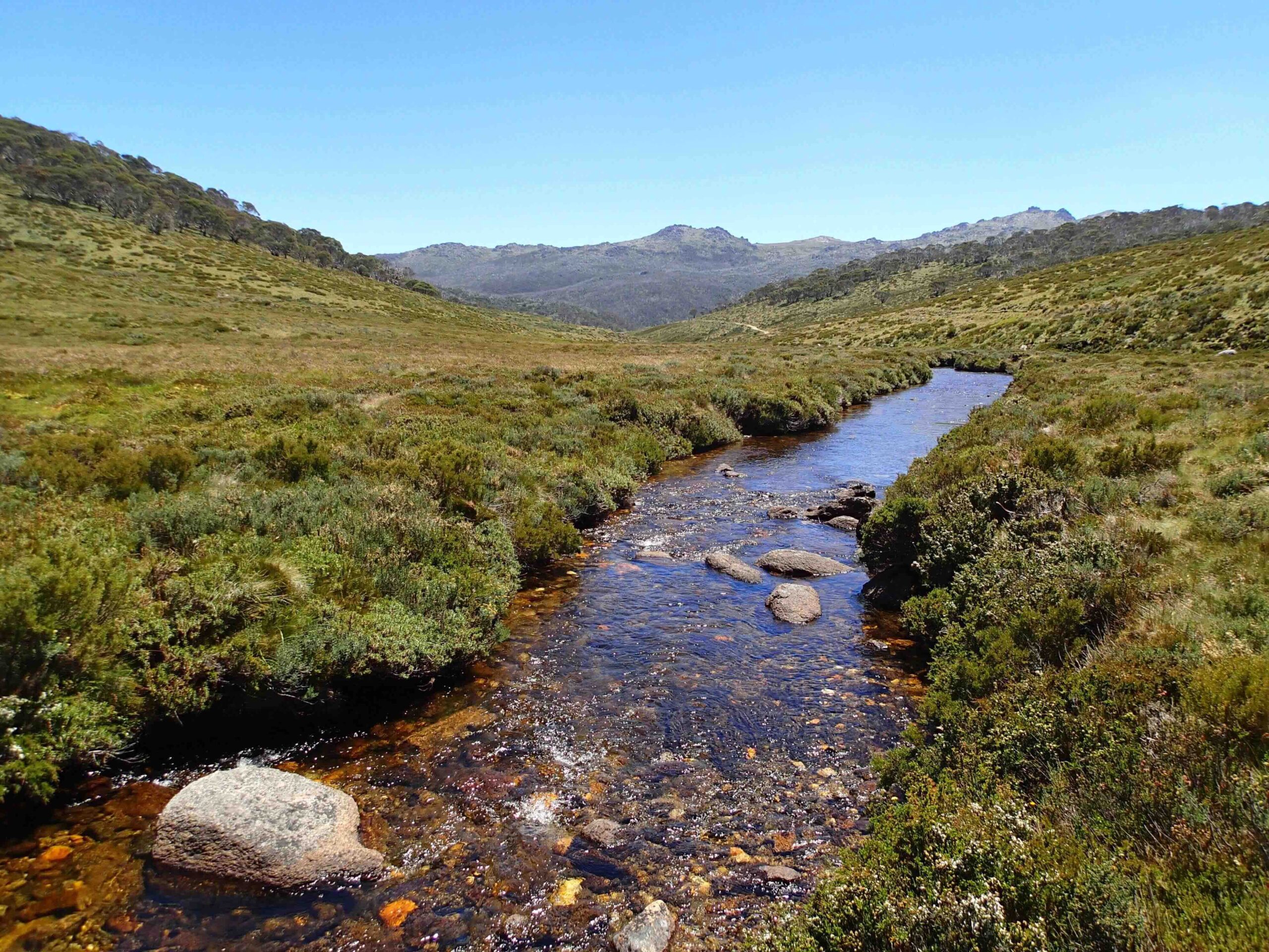 Snowy Mountains Alpine Walk