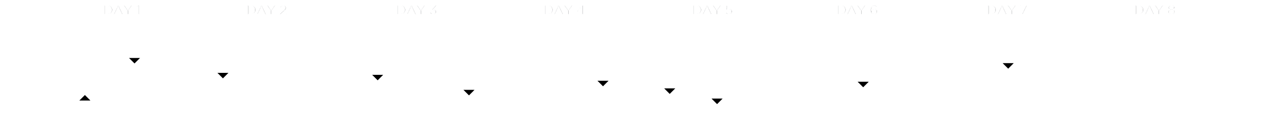 Tropical-Hiker-Group-Guided-Walking-Grading