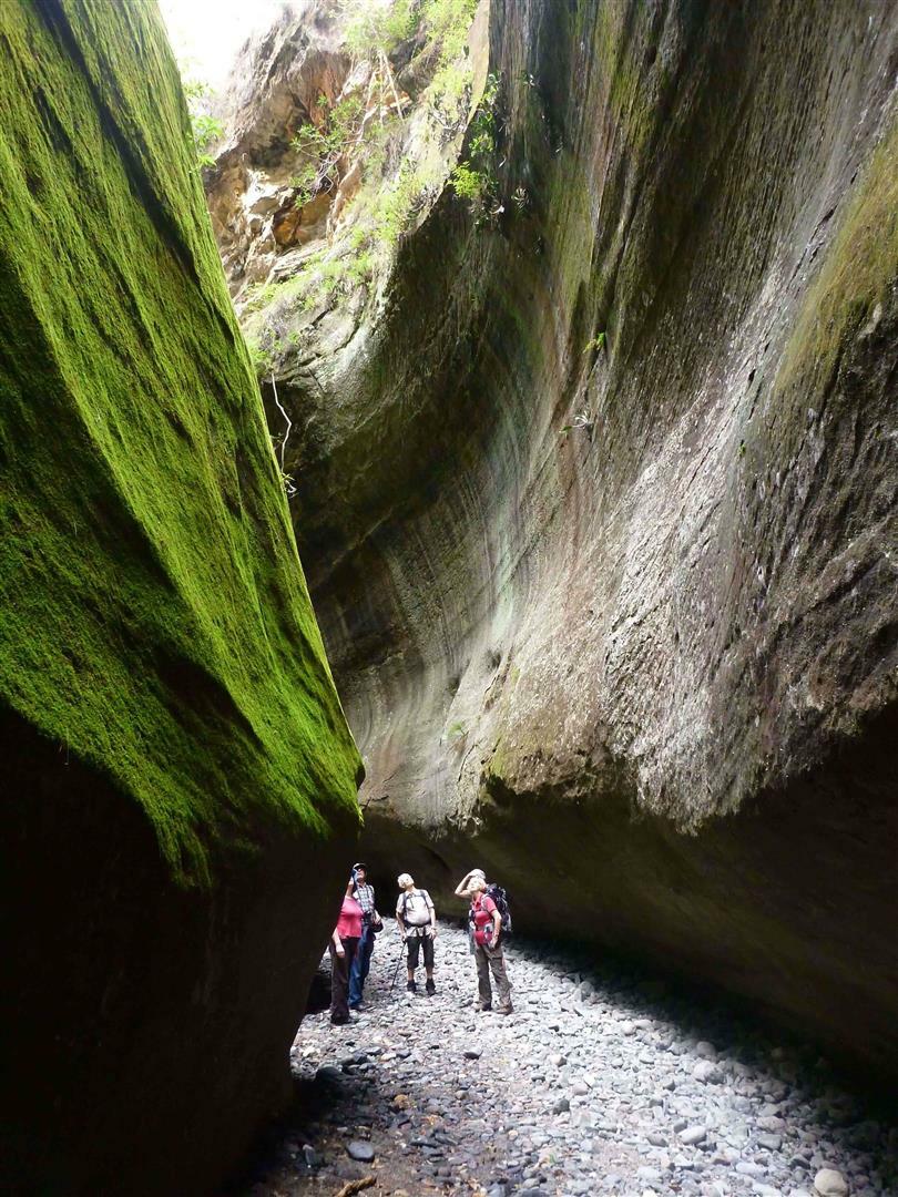 Carnarvon Gorge Queensland
