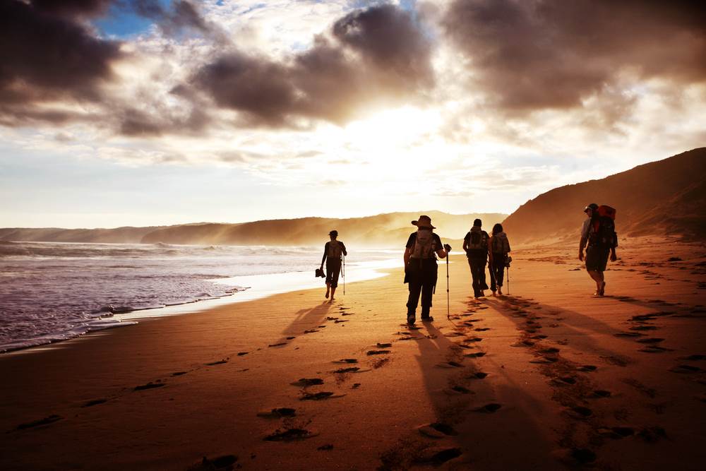 great ocean road walks