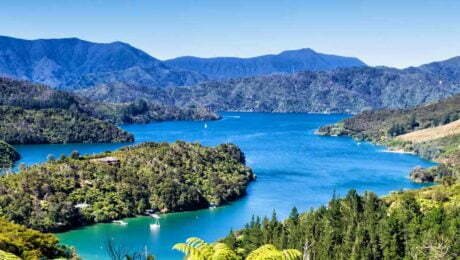 Queen Charlotte Walking Track - 6 Days Self-Guided Walk New Zealand