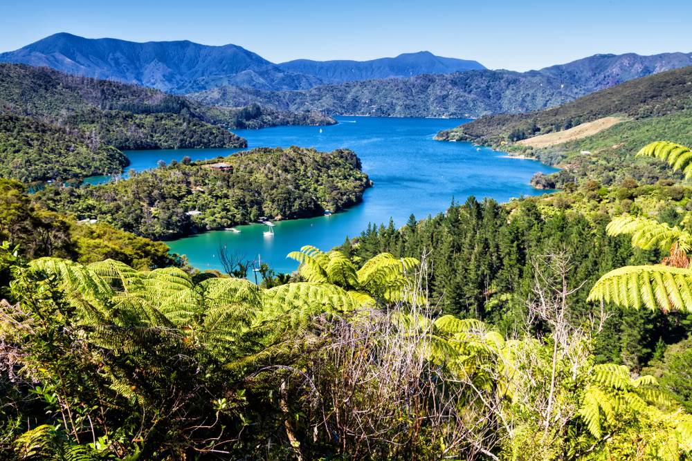 queen charlotte sound nz