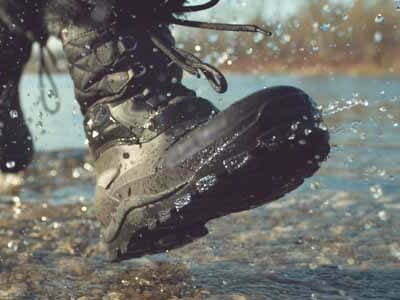 Hiking shoe