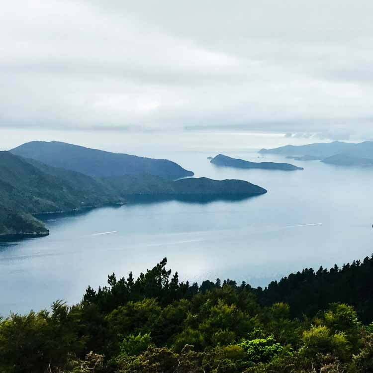Queen Charlotte Track Essentials