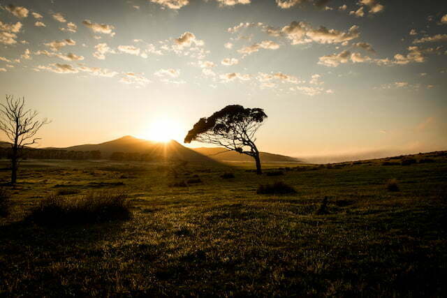 Flinders Island Highlights - 5 Day Self-Guided Walk