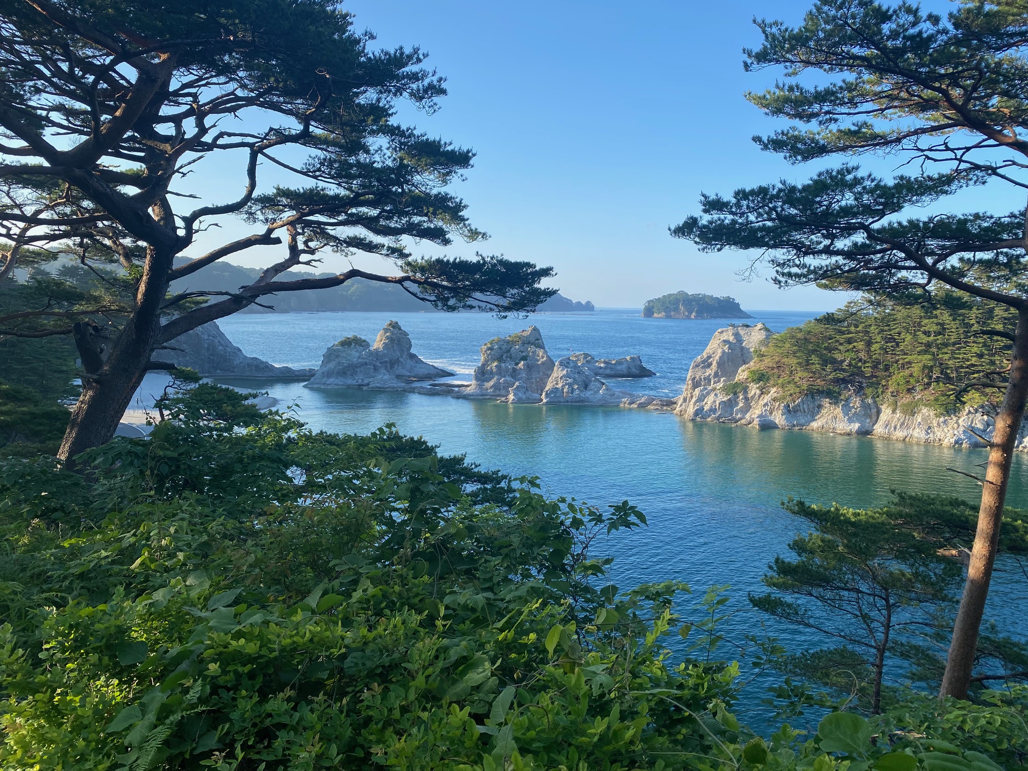 Jogodohama beach and rocks Michinoku Coastal Trail