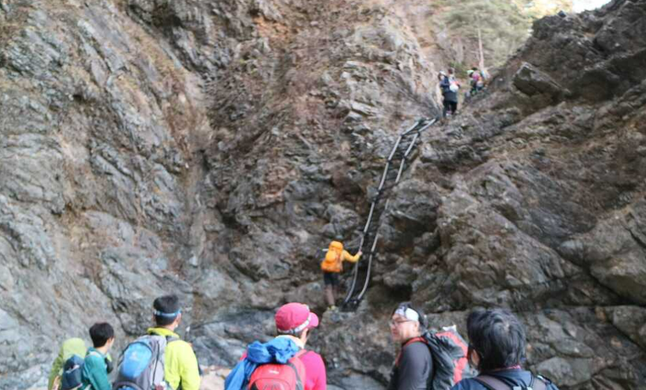 Ladder MCT