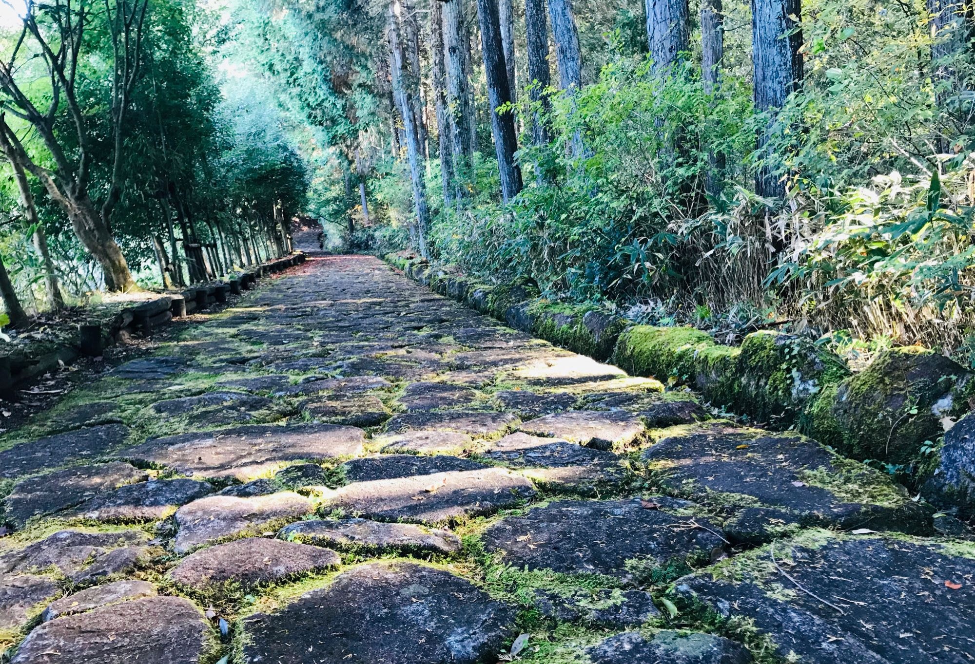 The trail to Magome