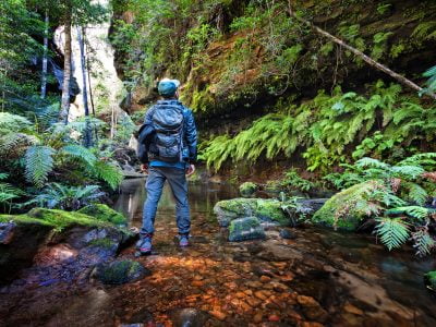 Blue Mountains Day Walks