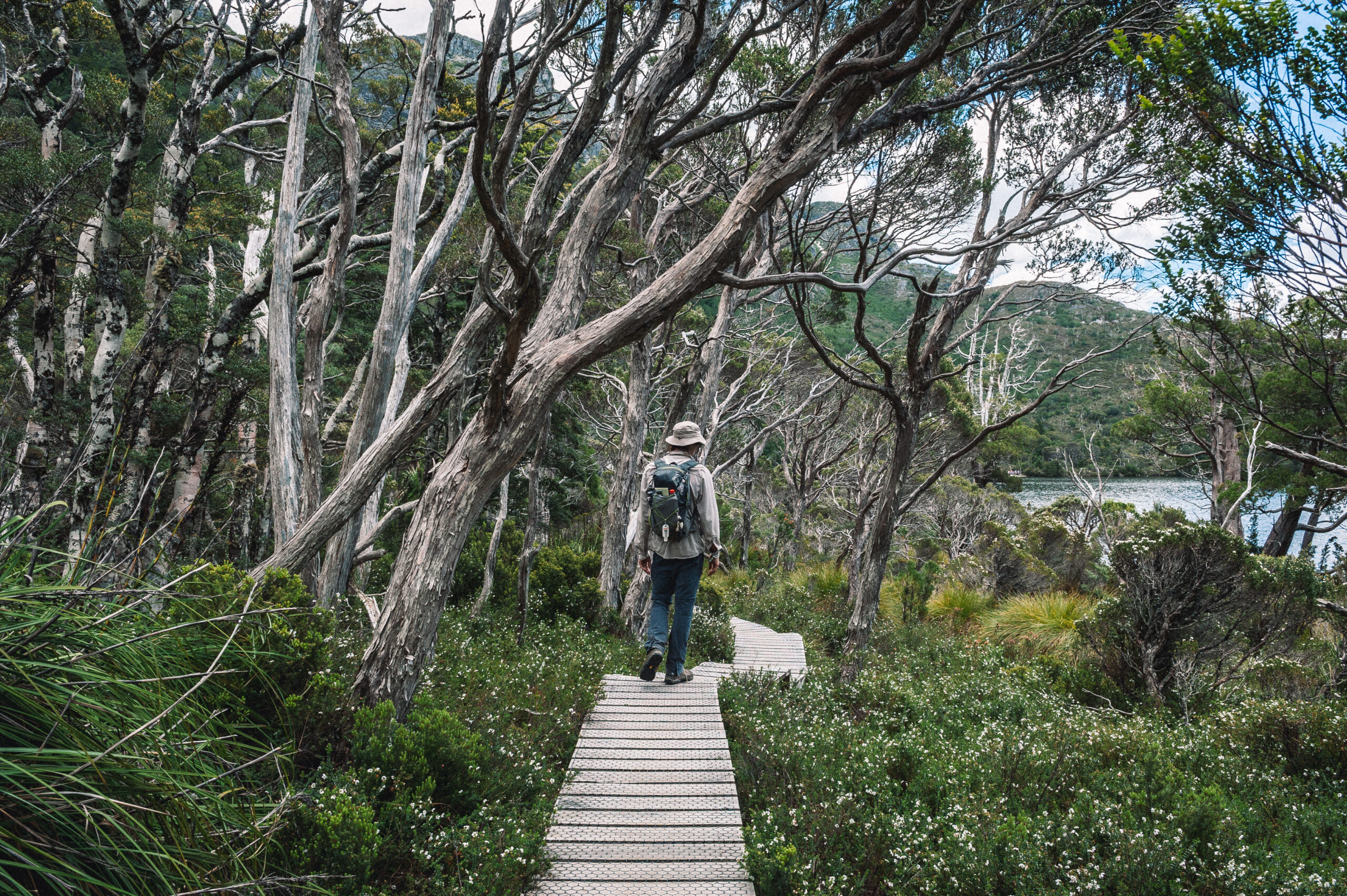 Wilderness Adventures